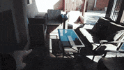 Hersh GIF by Team Vove