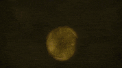 Dance Macabre New Music GIF by Ghost