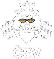 Logo Csv Sticker by Weightlifting Holesov