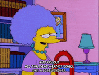 bart simpson episode 6 GIF