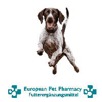 Canicross Sticker by Europeanpetpharmacy