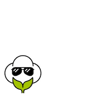 Algodao Biotecnologia Sticker by Bollgard