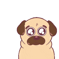 Pug Dog Sticker