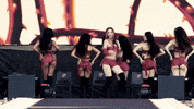 Megan Lollapalooza GIF by Respective