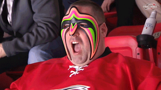 wrestling hockey GIF by Carolina Hurricanes