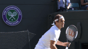 tennis roger GIF by Wimbledon