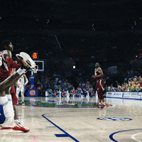 Ncaa Sports Sport GIF by Florida Gators