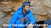 Explain Season 2 GIF by National Geographic Channel