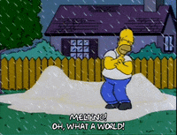 homer simpson GIF