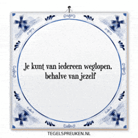 Nl Spreuk GIF by Tegelspreuken.nl