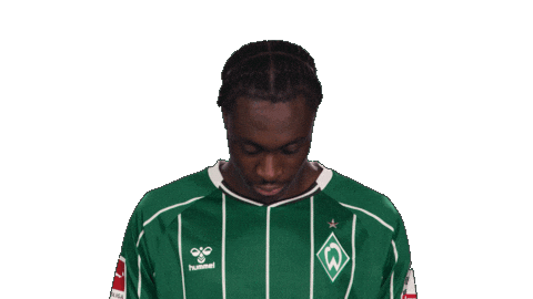 Werder Bremen Salifou Sticker by Bundesliga