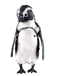 Heart Valentine Sticker by California Academy of Sciences