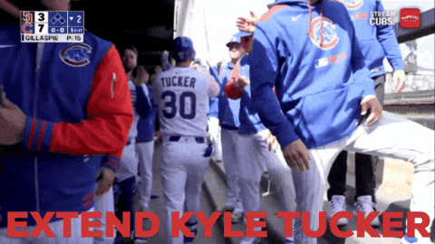 Chicago Cubs GIF by TheDreamTeam 