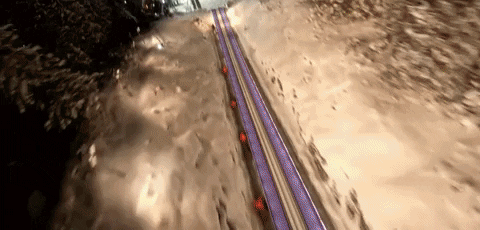 tomlys giphyupload GIF