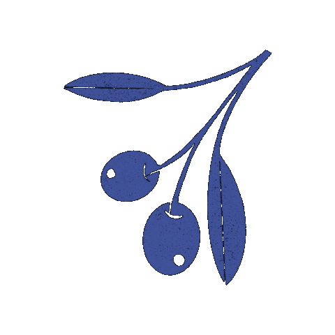 Aceite Olives Sticker by Gnomo