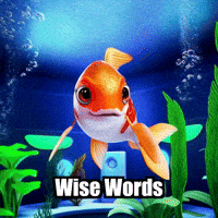 Koi Fish Podcast GIF by TheConfishius