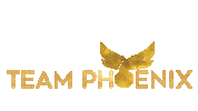 Team Phoenix Fitness Sticker by Country Road TV