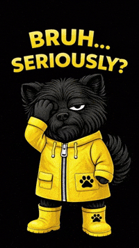 Come On Seriously GIF by Terry Toto