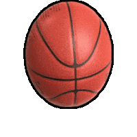 Basket Panama Sticker by STC