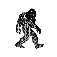 Night Camping Sticker