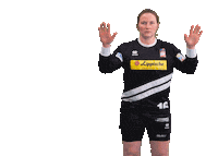 Sport Bundesliga Sticker by HSG Blomberg-Lippe