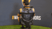 Swing Smile GIF by Worcester Warriors