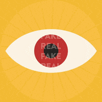 Fake News GIF by Supernatifs