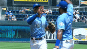 Catch Teammates GIF by MLB