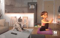 Dog Food Cat GIF by Hill's Pet Nutrition