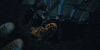 Oh My God Reaction GIF by Epitaph Records