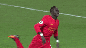 premier league football GIF by Liverpool FC