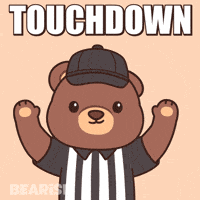 Super Bowl Win GIF by BEARISH