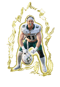 DolphinsAncona football beast american football dolphins Sticker