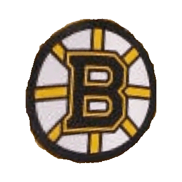 Boston Bruins Hockey Sticker by imoji
