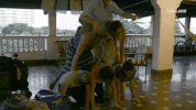 viceland GIF by JUNGLETOWN