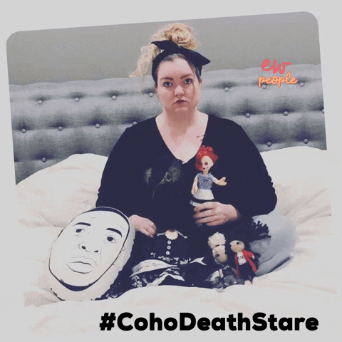colleenhooverbooks rbf asif cohort coho GIF