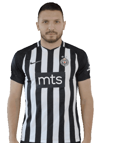 Partizan Sticker by sportmts