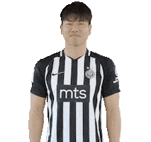 Partizan Sticker by sportmts