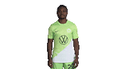 Football Lol Sticker by VfL Wolfsburg