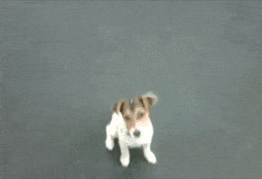 words GIF by hero0fwar