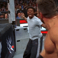 No Way Omg GIF by WWE