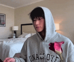 San What GIF