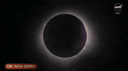 Solar Eclipse GIF by NASA
