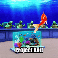 Koi Fish Presentation GIF by TheConfishius