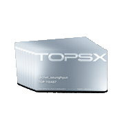 Choi Seunghyun Top Sticker