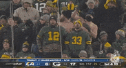 Green Bay Packers Football GIF by NFL