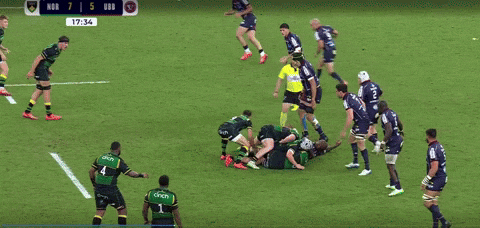 lorenzocalamai giphyupload GIF