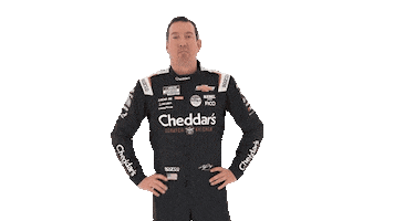 Kyle Busch Stare Sticker by Richard Childress Racing