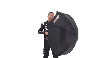 Kyle Busch Sticker by Richard Childress Racing