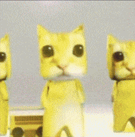 Happy Dance GIF